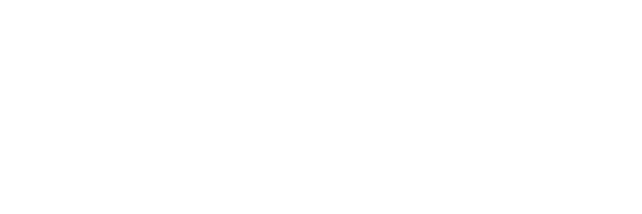 Salvo Digital